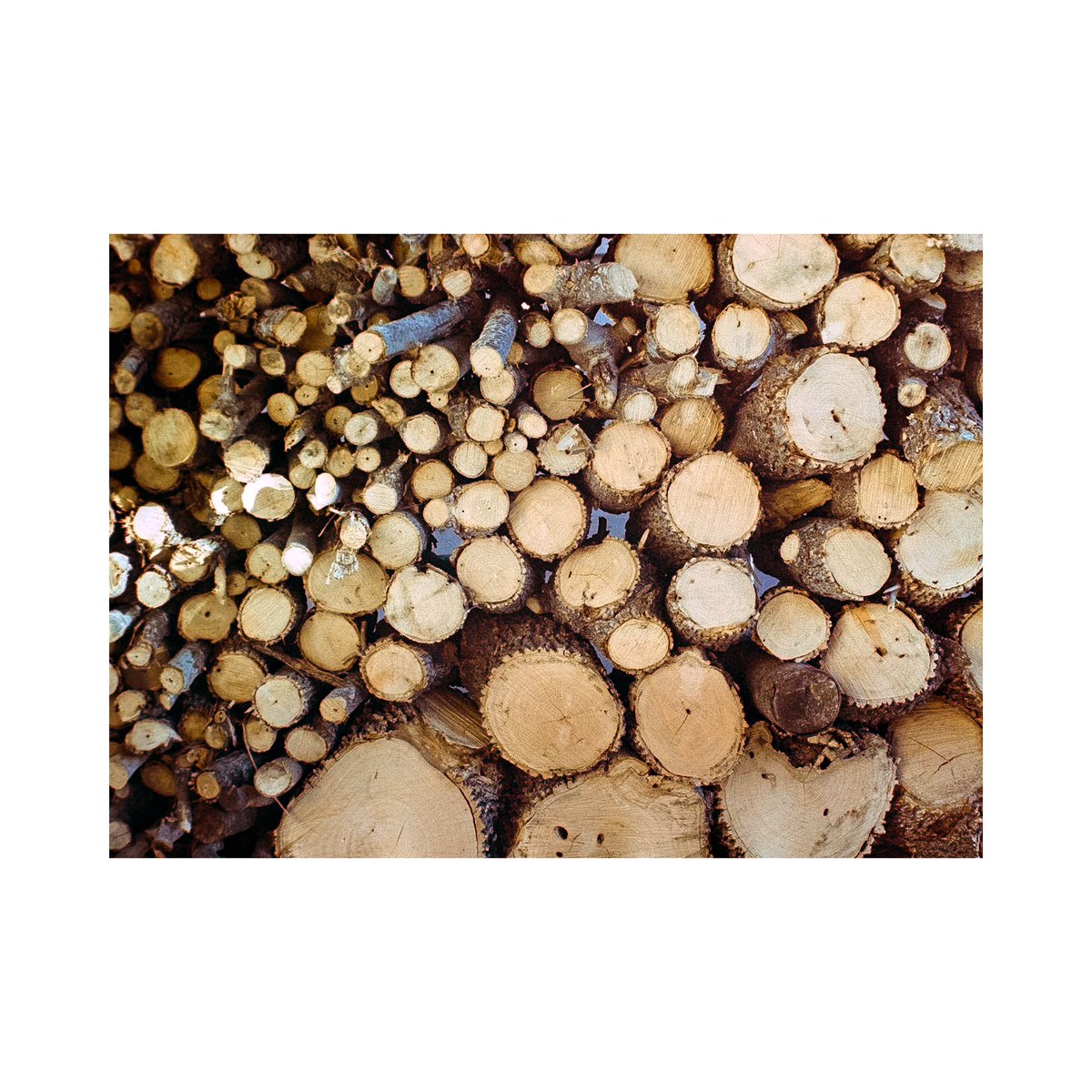 SKemp_97's tweet photo. The first of about a year and a half worth of film photos to catch up on posting 🎞️
Shot on 35mm Portra 400 https://t.co/381LY7V81t