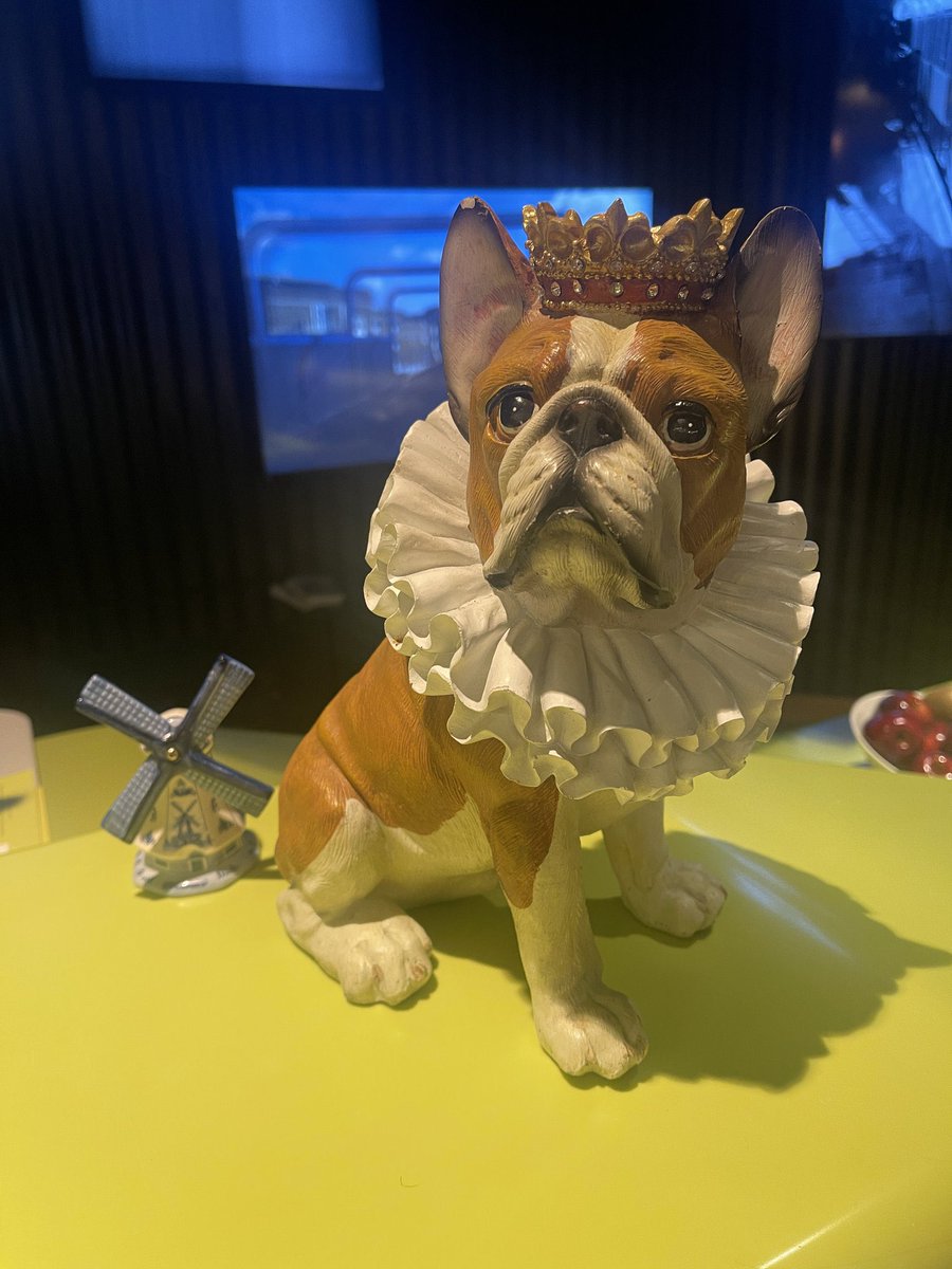 collectibulldog's tweet image. #Follow this account enjoy our content as we enjoy yours. We repost ! Freely loan out #PinnedTweet ! A page this size doesn’t do to much for others but we go the extra mile your website or blog gets shared both with X direct and you with your tag so you see connections are fun 🤩