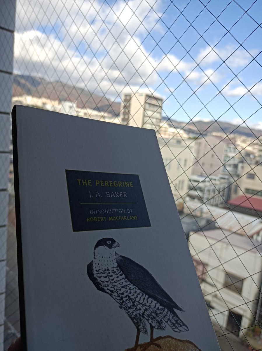 bubu12013's tweet photo. So I've been wanting to give this a re-read for ages, and thought, "I'll wait for winter so it's all bleak &amp; gloomy and mood-appropriate" and then every day has been like this. https://t.co/XT0gSOBqeH