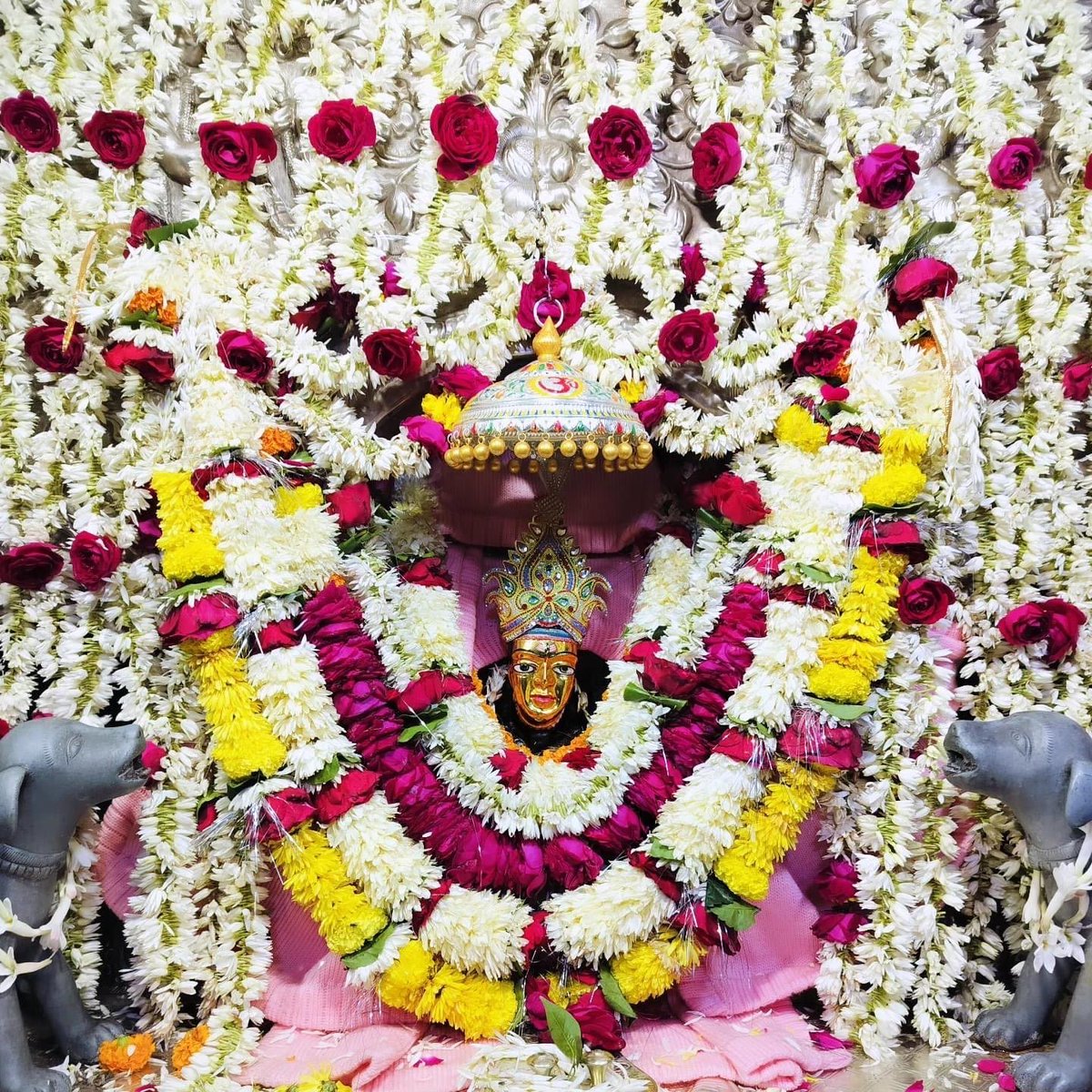 TheRajarshi's tweet photo. Om Bhairavaya namah.. 

A Krshnaastami that falls/overlaps with a Sunday/Monday is extra powerful. Blessings of Bhairava helps to overcome fears of all kinds. He is represented by the number eight, which govern all thins beyond normal sight. Transitions, cross-roads, literal and metaphorical. Between life and death. He is Shiva in His raw smashanic form. Blessings of Bhairava can also help to reduce the impact of krura graha-s in one's life. 

Upsurge of Bhairava tattwa is a definitive indication of the coming age of Shakta tantra sadhana, re-established in its original glory. For Bhairava clears the path for the descent of Shakti, while also representing the ultimate reality as para bhairava tattwa..