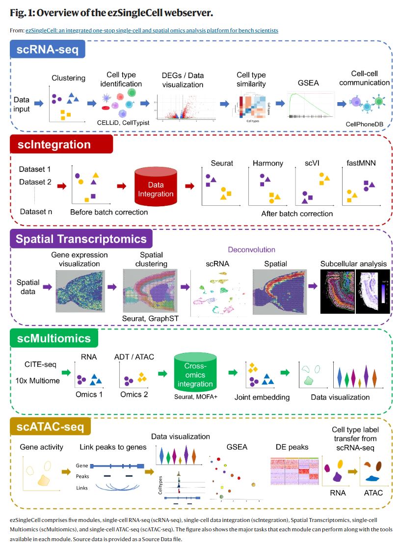 🎉 Congrats to the Singapore research team on ezSingleCell! 🎉 A game-changer for #singlecell &amp; #spatialbiology, it simplifies data analysis from platforms like Chromium, Visium &amp; Xenium without programming expertise! 🚀 Learn more: nature.com/articles/s4146…