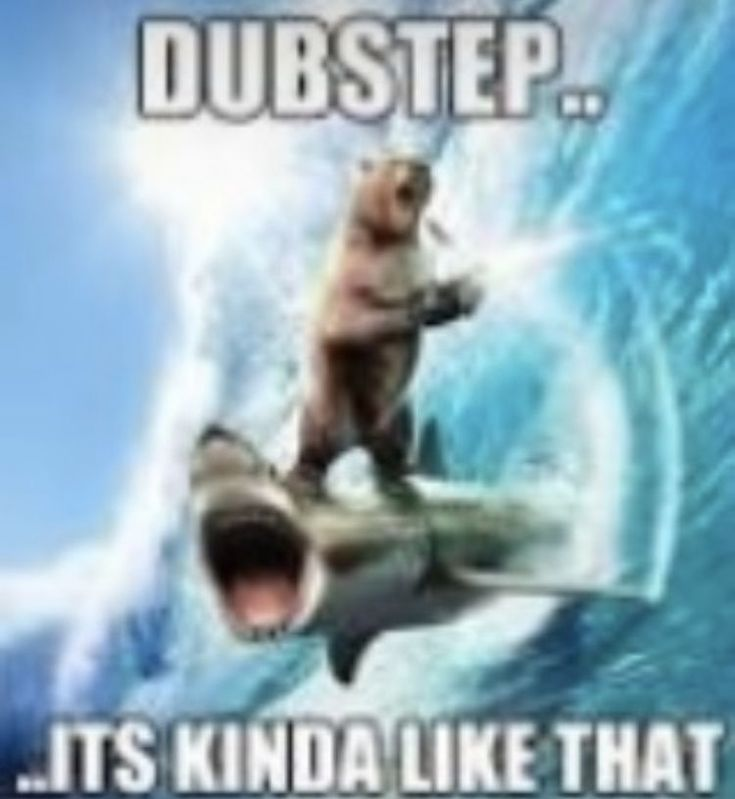 beansontoastyay's tweet photo. #dupstep https://t.co/zA5bS4cnNK