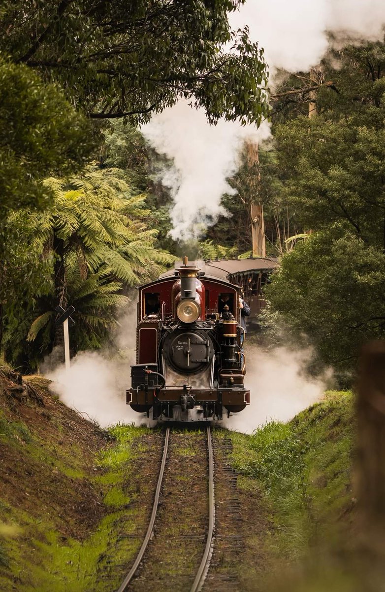 AntipodeEmpire's tweet photo. Dandenong Ranges, Victoria 🇦🇺 https://t.co/tSHaa2zpPM
