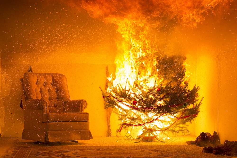 Time to say goodbye to your tree? Don’t let a dry tree become a fire hazard! Safely dispose of it by checking local recycling programs, avoiding burning it in a fireplace, or turning it into mulch or compost. Stay safe and eco-friendly this holiday season!  #HolidayCleanup