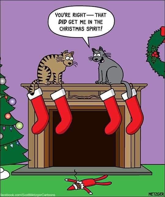 OreoKitties's tweet photo. Get into the Christmas Spirit. 
🐈🐾🐈‍⬛🐾🎄🎅🏼🎄🤶🏼🎄🧑🏼‍🎄🎄
#cats #catthuglife #ElfOnTheShelf #Christmas https://t.co/8A0PNlNfpk
