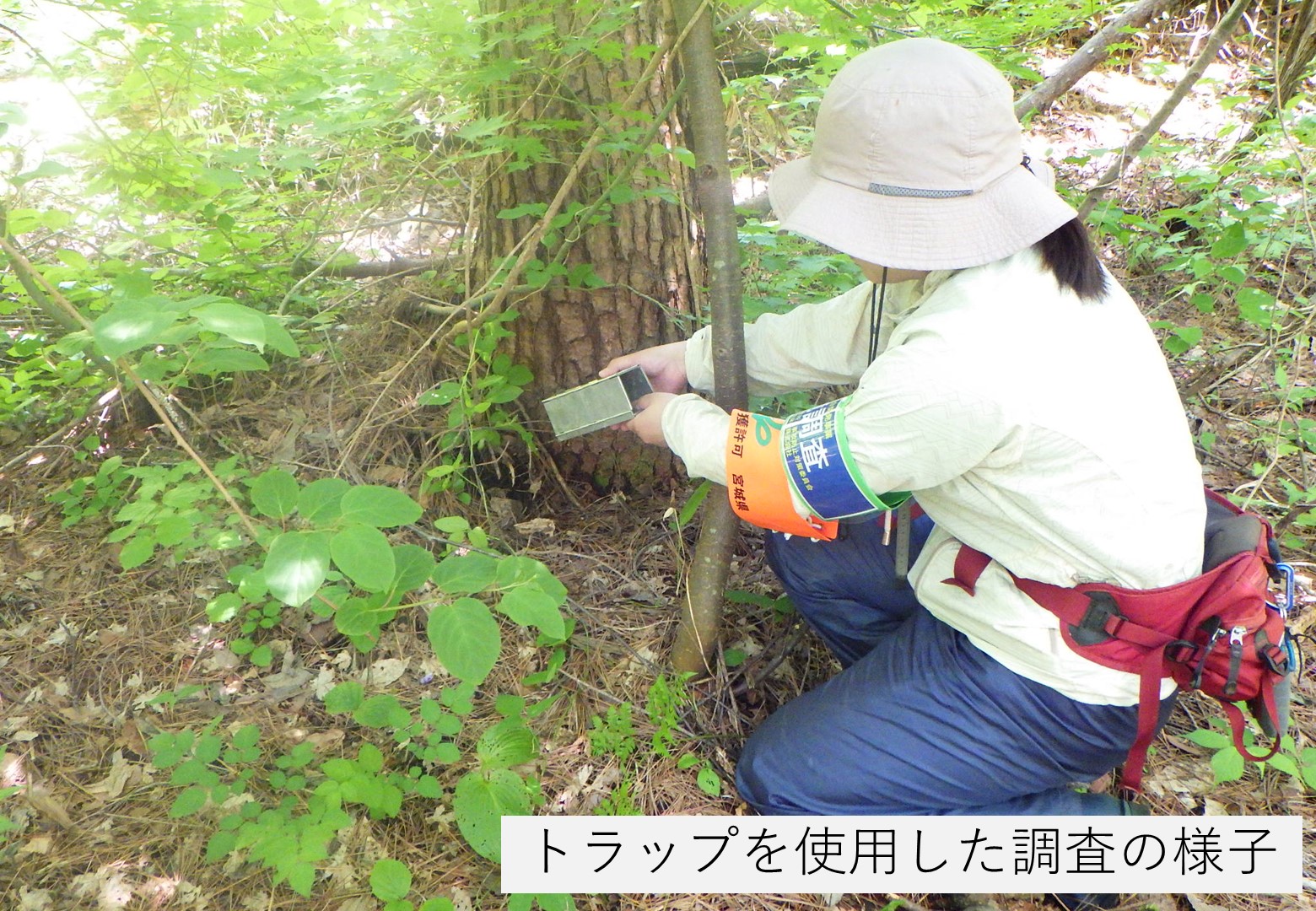 国土交通省 鳴瀬川総合開発工事事務所 (@mlit_narusou) / X