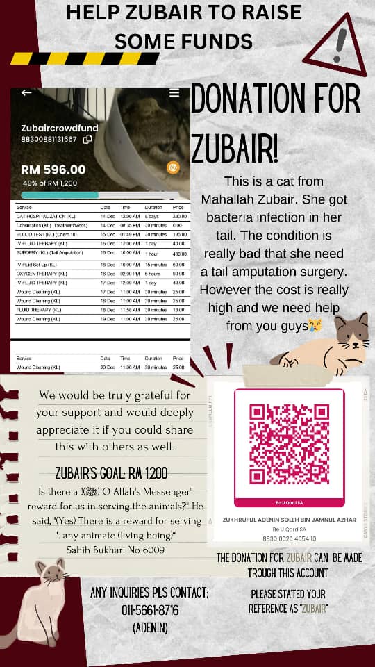 AdeninExe's tweet photo. ❗ UPDATE ON ZUBAIR ❗ 
CURRENT FUNDS: RM 596
GOAL: RM 1200

Alhamdulillah we already accumulated some money for her reaching halfway through the goal. Thank you everyone for your support 🙏. But it's still far from enough. Please lend us your support to get our litte friend😿 https://t.co/Mnj9o4DacX