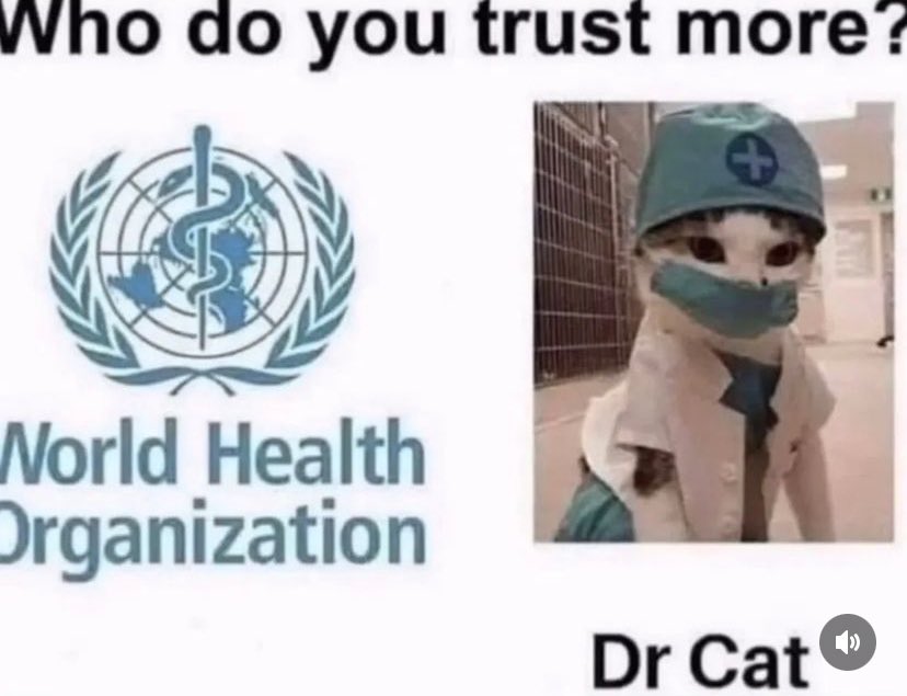 Hezekiah Duckworth 🇺🇸🏳️‍🌈 tweet media