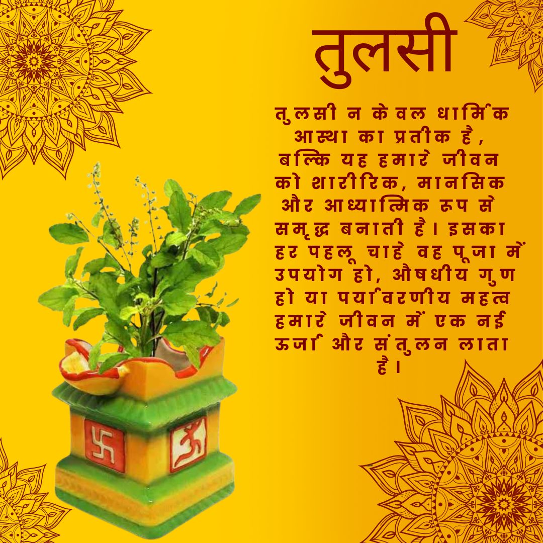 Ashok_Paswan1's tweet photo. @AshramGnganagar Sant Shri Asharamji Bapu চান যে সকলে তুলসী গাছের সুবিধা গ্রহণ করুক তাই তিনি টিপিডি শুরু করেছেন, সকলেরই উপকৃত হওয়া উচিত।
Tulsi Pujan Diwas Quiz আরও বেশি করে জ্ঞান অর্জন করতে
#2DayToGo https://t.co/hNeTFIytDA