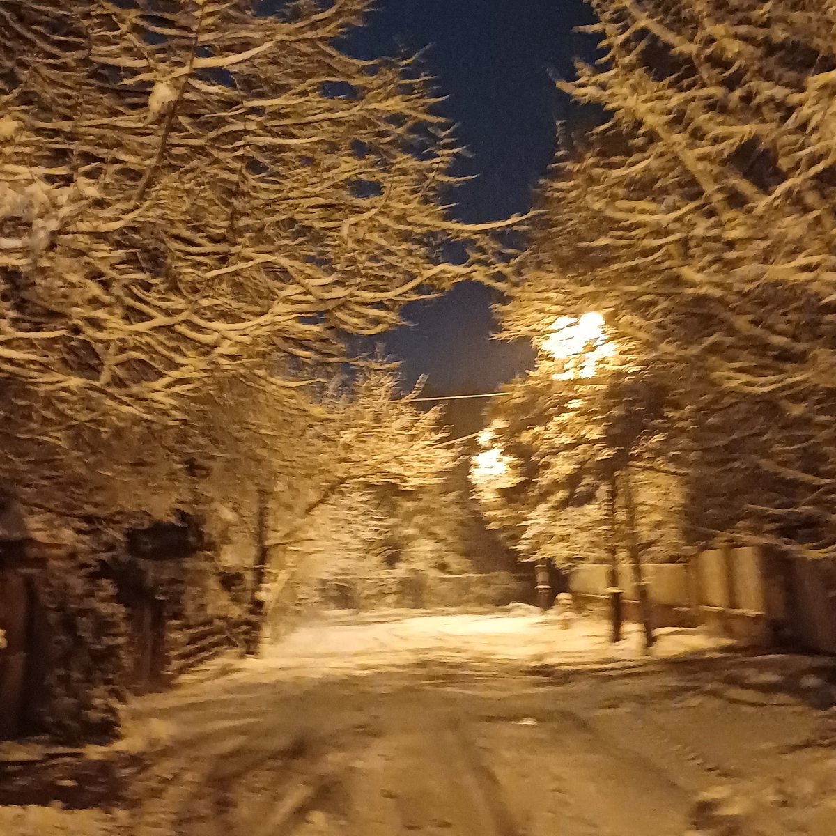 DianaUrge's tweet photo. #natureIsBeautiful #WinterIsBeautiful
In my childhood this beauty was normal.
I can hardly show this to my children, it has become so rare.
Will they be able to show this to their children at all...?
#ClimateChange https://t.co/SyWehKf34K