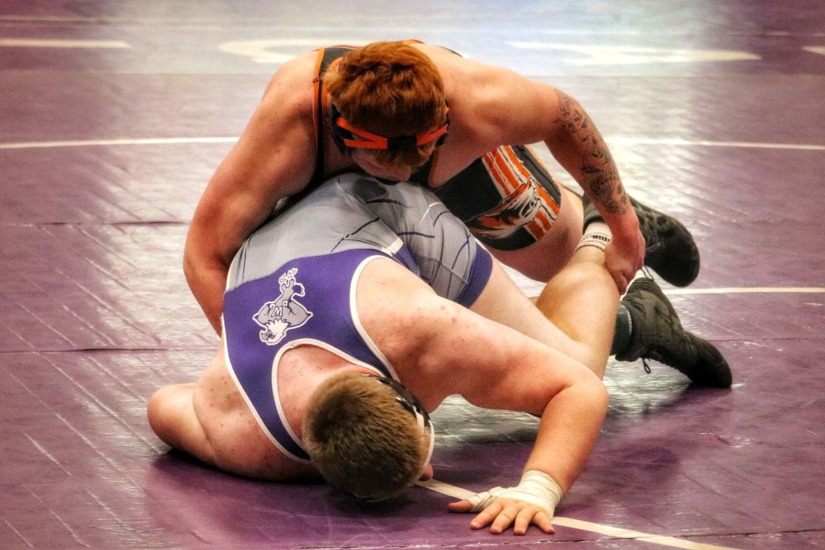 Stephen Linton tweet media