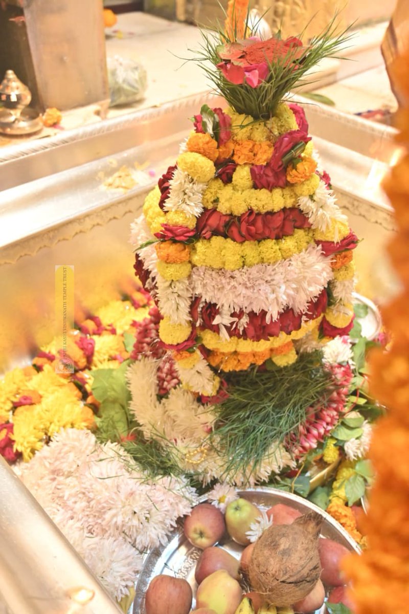 ShriVishwanath's tweet photo. 23.12.2024, बाबा विश्वनाथ के मंगला आरती, दर्शन
#kashi #darshan #VishwanathDham https://t.co/U9yYdof19R