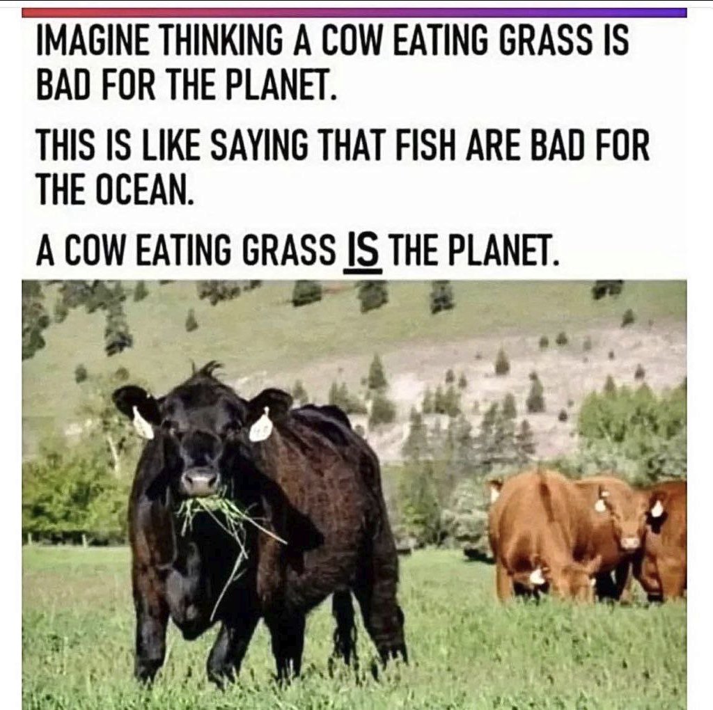 Shall we keep reposting this until everyone gets it?