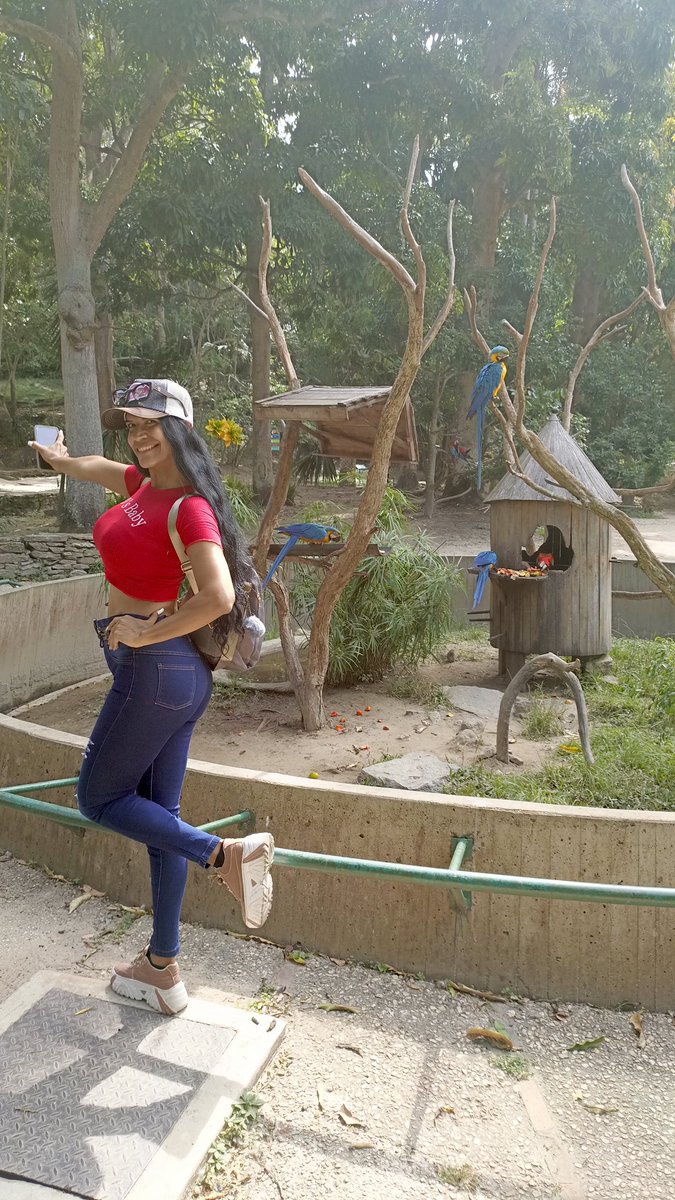 Emerson Acuña (@emersonjose13a1) on Twitter photo 