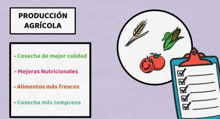 angie_bca's tweet photo. La ingeniería genética en plantas consiste en modificar el ADN de las plantas para obtener características deseables como resistencia a plagas, enfermedades o sequía, o para mejorar su valor nutricional.
#ingenieríagenética #biología https://t.co/hTCGG0l8Ee