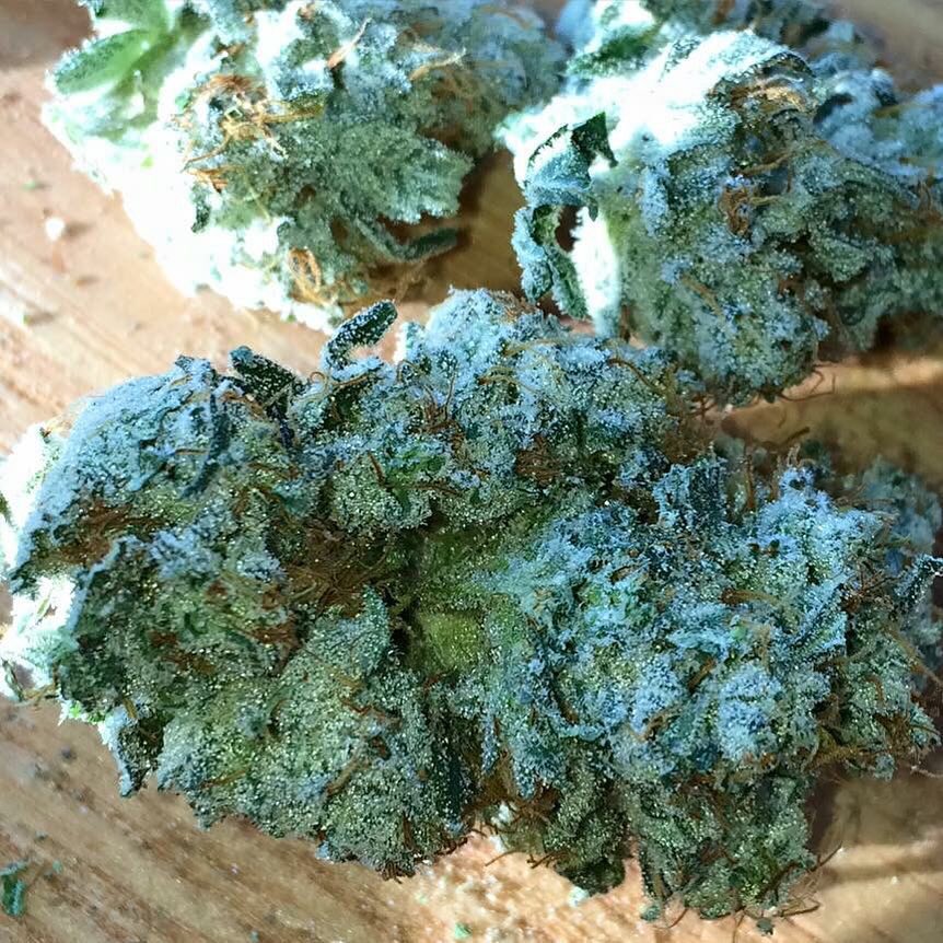 koma_grows's tweet photo. this aint a fkn game, real power…. BIG DOGS ONLY #Esnce https://t.co/RUmPtp3pr4