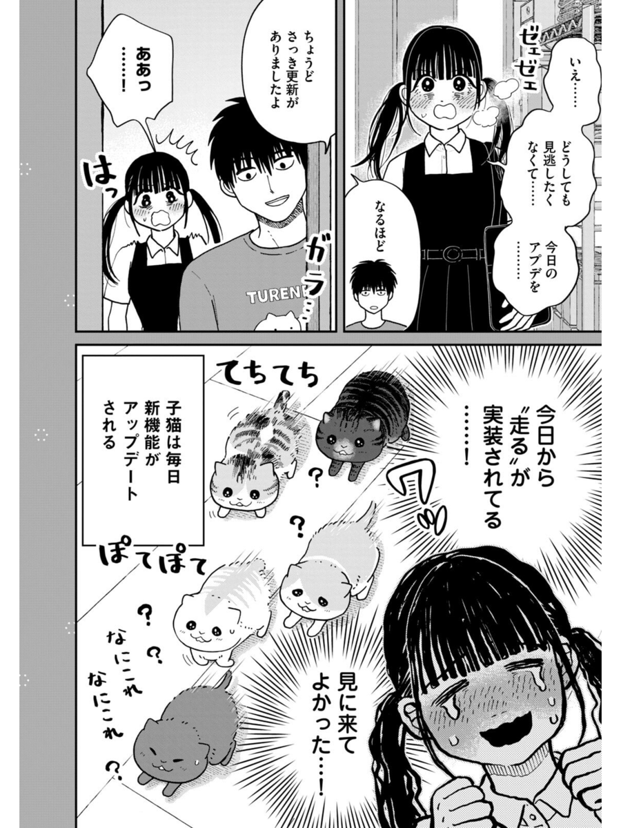 子猫の毎日アップデート
#ツレ猫マルルとハチ #マルルとハチ #漫画が読めるハッシュタグ