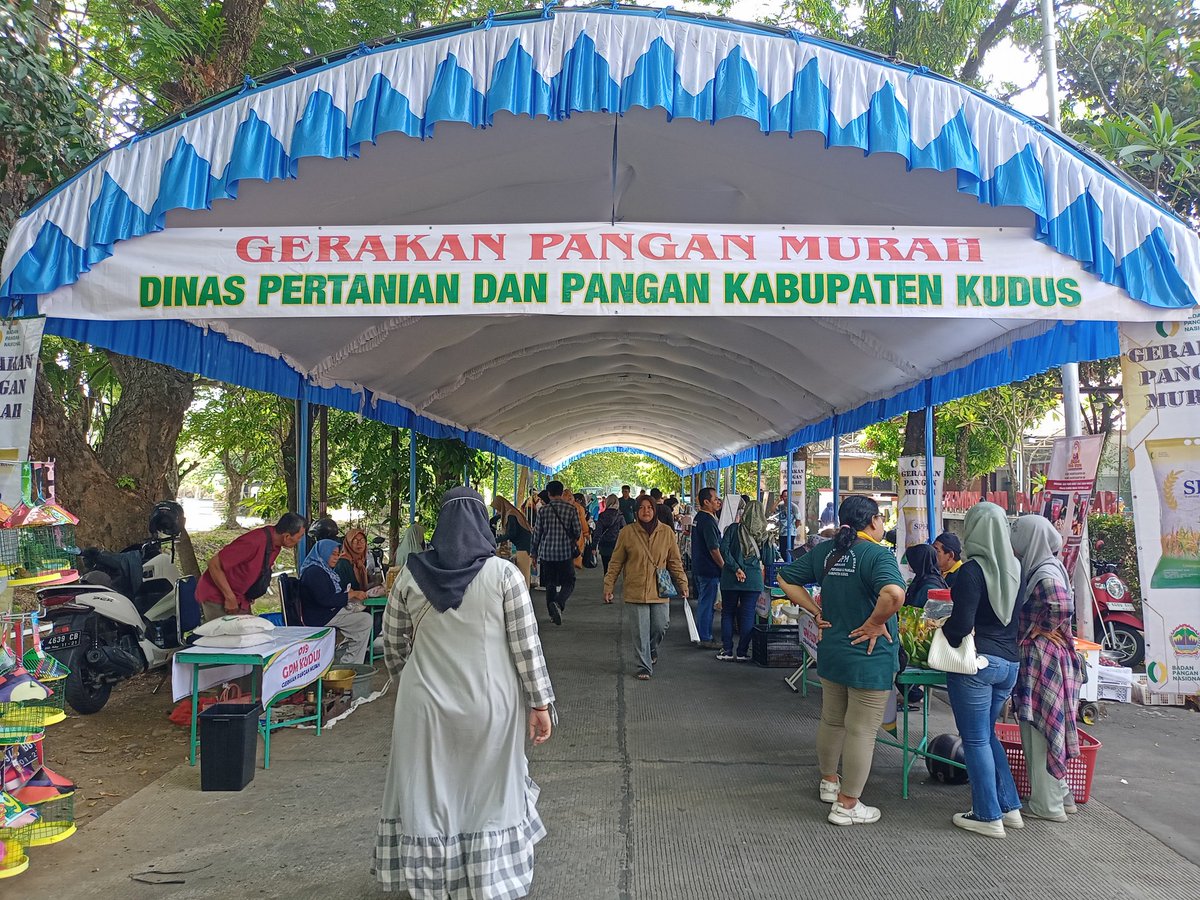 n_dyera's tweet photo. Jum'at (11-10-2024), NovieDI_Luhkan Kudus di DispertaPangan Kudus acara Bazar GPM Fasilitasi Pemasaran Panen Lele Bp. Tohar Ds.Honggosoco Kec.Jekulo Lele sebanyak 30Kg Harga 26Rb/kg #luhlapor #GiatLuhkanSatminkalTegal @bppsdm_kp @PKBLU_bp3tegal @bppsdm_puslatkp https://t.co/HuGfvWwG02