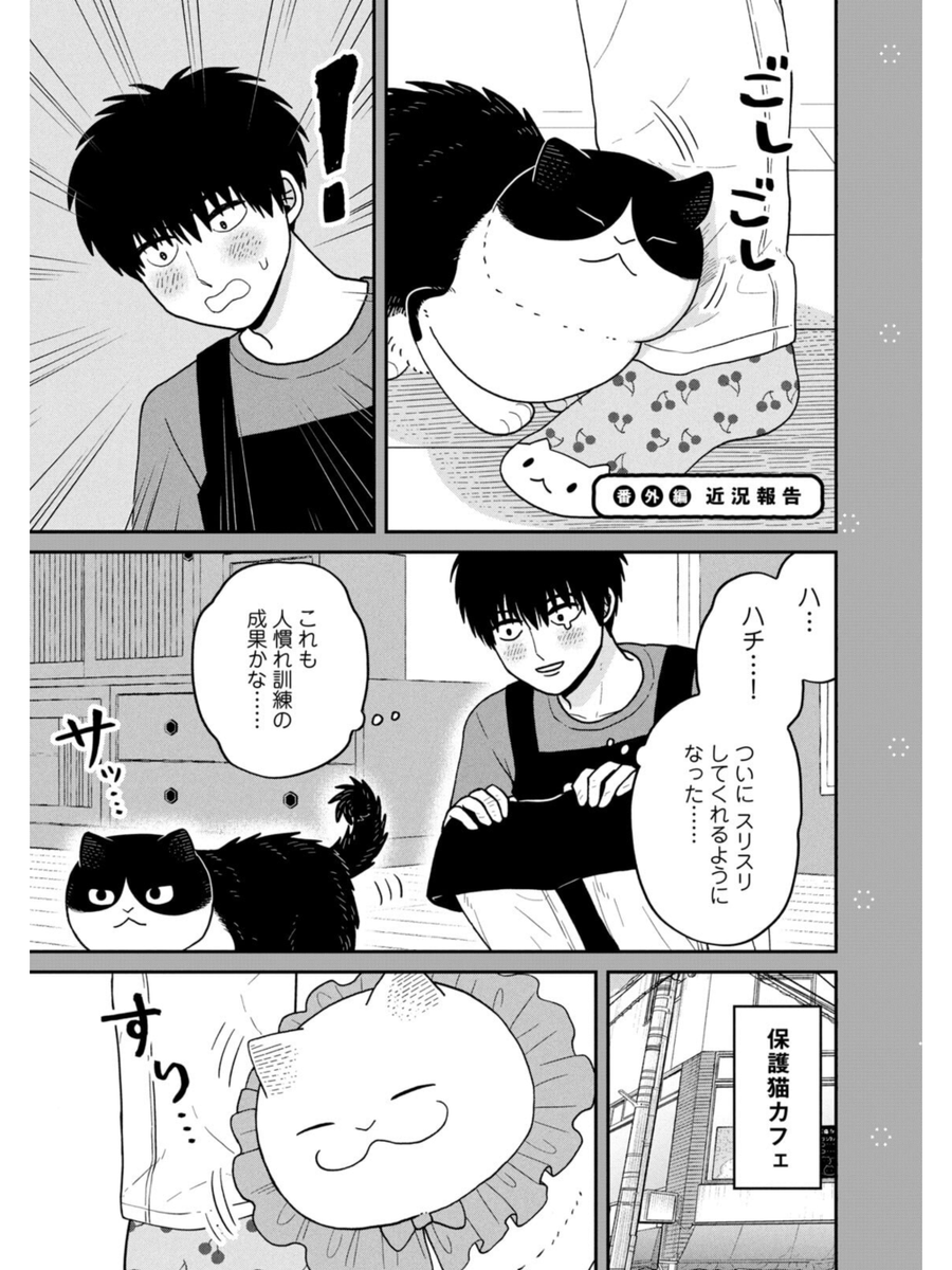猫たちの近況報告
#ツレ猫マルルとハチ #マルルとハチ #漫画が読めるハッシュタグ 