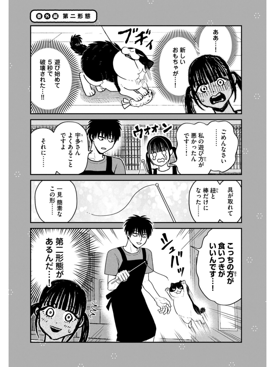 猫のおもちゃの第二形態
#ツレ猫マルルとハチ #マルルとハチ #漫画が読めるハッシュタグ