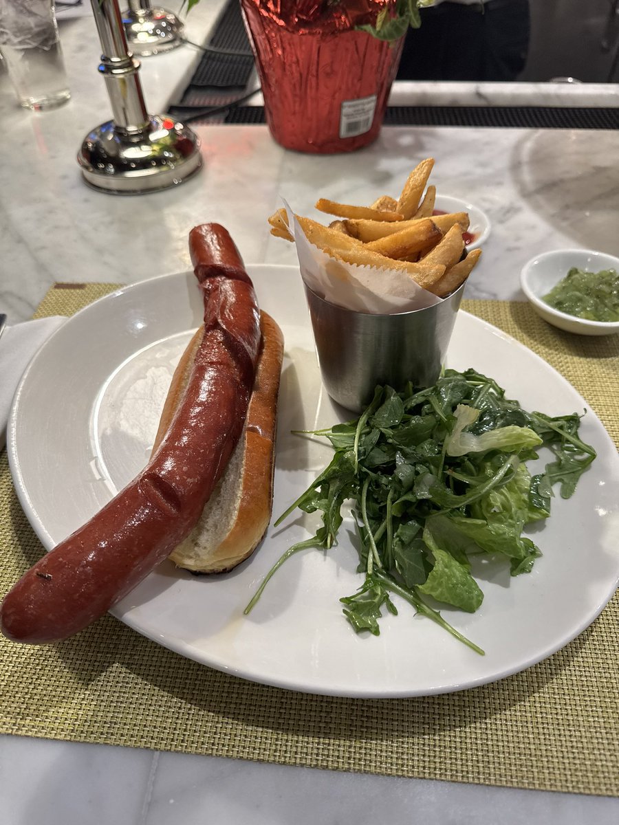 CollinBailer's tweet photo. Goated dog from the Brooklyn Diner in NYC. https://t.co/wojaMOOjav
