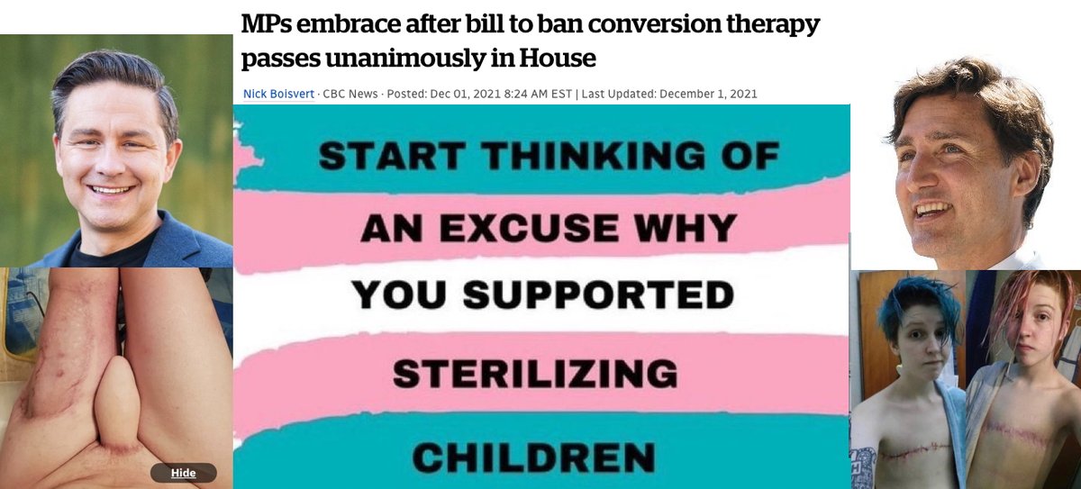 DonaldBestCA's tweet photo. Pierre Poilievre, Justin Trudeau, Jagmeet Singh & all sitting MPs unanimously voted to approve Bill C-4 - that protected & normalized the sterilization / mutilation of children & vulnerable youth.
These horrific photos are what they voted for. https://t.co/lSSDMFQ79a
