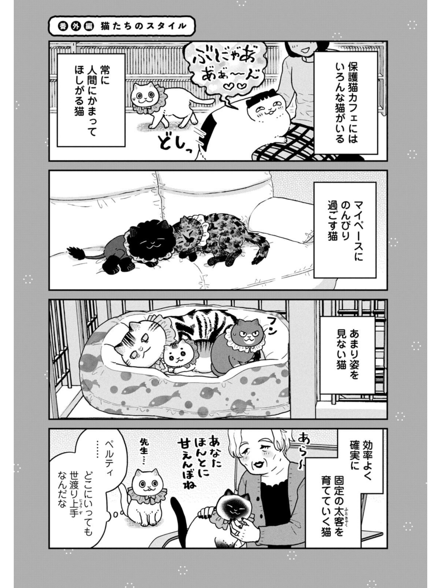 猫たちのスタイル
#ツレ猫マルルとハチ #マルルとハチ #漫画が読めるハッシュタグ 
