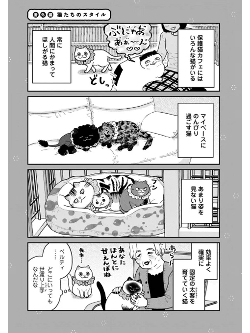 猫たちのスタイル
#ツレ猫マルルとハチ #マルルとハチ #漫画が読めるハッシュタグ 