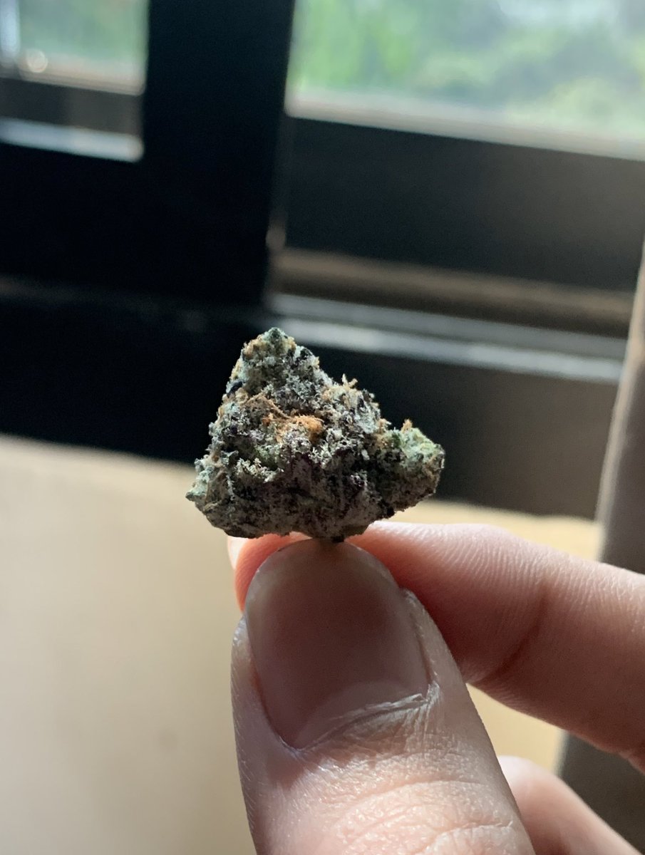 TerpsBomb's tweet photo. If you like about the terpenes
Come join us 🥰 🔥🔥(Homegrown)
We got a great terpene for u to try 👊
#กัญชา #กัญชาอัดแท่ง #กัญชานอก #thaiweed #กัญชากทม #กัญชาจรัญ #ปิ่นเกล้า #จรัญ #กัญชาพระราม7 #กัญชาog #บางซื่อ #ตลิ่งชัน #cannabis #thaicannabis https://t.co/9X4B2edeBU