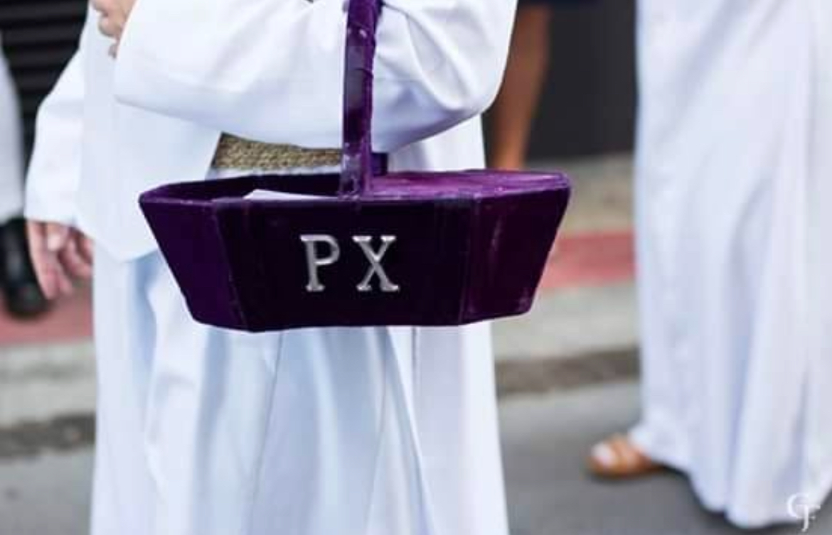 🟣 17 lunes para un nuevo Lunes Santo.

#pusillusgrex #guadalupe #soberanopoder #jara #LunesSantoSoberano