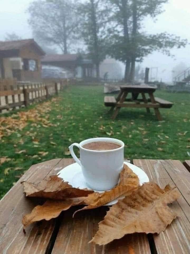 nadaelrayehan's tweet image. كنت يوما أشتهي فنجان قهوة معك أو بقربك ولازلت ..
كنت على استعداد أن اطوي  البلدان والقارات .
أن اتجاهل اللاممكن واللامعقول ..فقط لأكون بقربك 
كنت وكنت وكنت ...ولازلت .. انتظر فنجان قهوة يجمعني معك .. 
ولكن ...!!!!!!!!!

#حروف_وقهوة
#رباب_الكلم 
#زبرجد_حرف 
#ال_الشعر