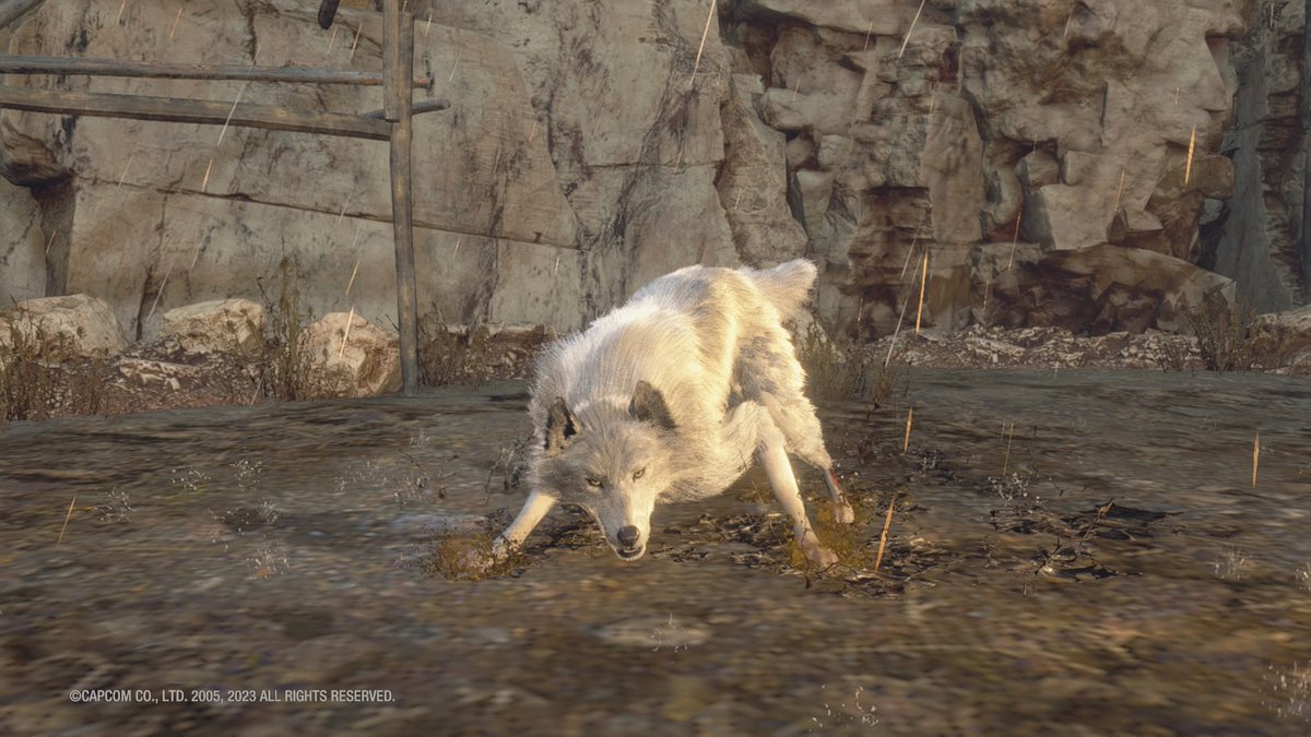 juniaxe's tweet photo. #CapcomSnapshots #CapcomUSA #REBHFun

THEME:DOGS

TITLE:#ResidentEvil4Remake https://t.co/4YnqI5JuzG