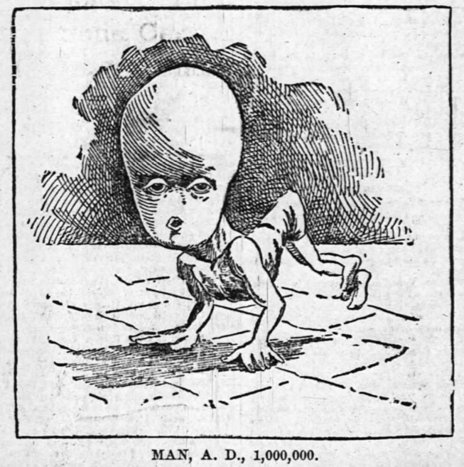 yesterdaysprint's tweet photo. The Ottawa Journal, Ontario, December 23, 1893 https://t.co/m9OKuMtJxk