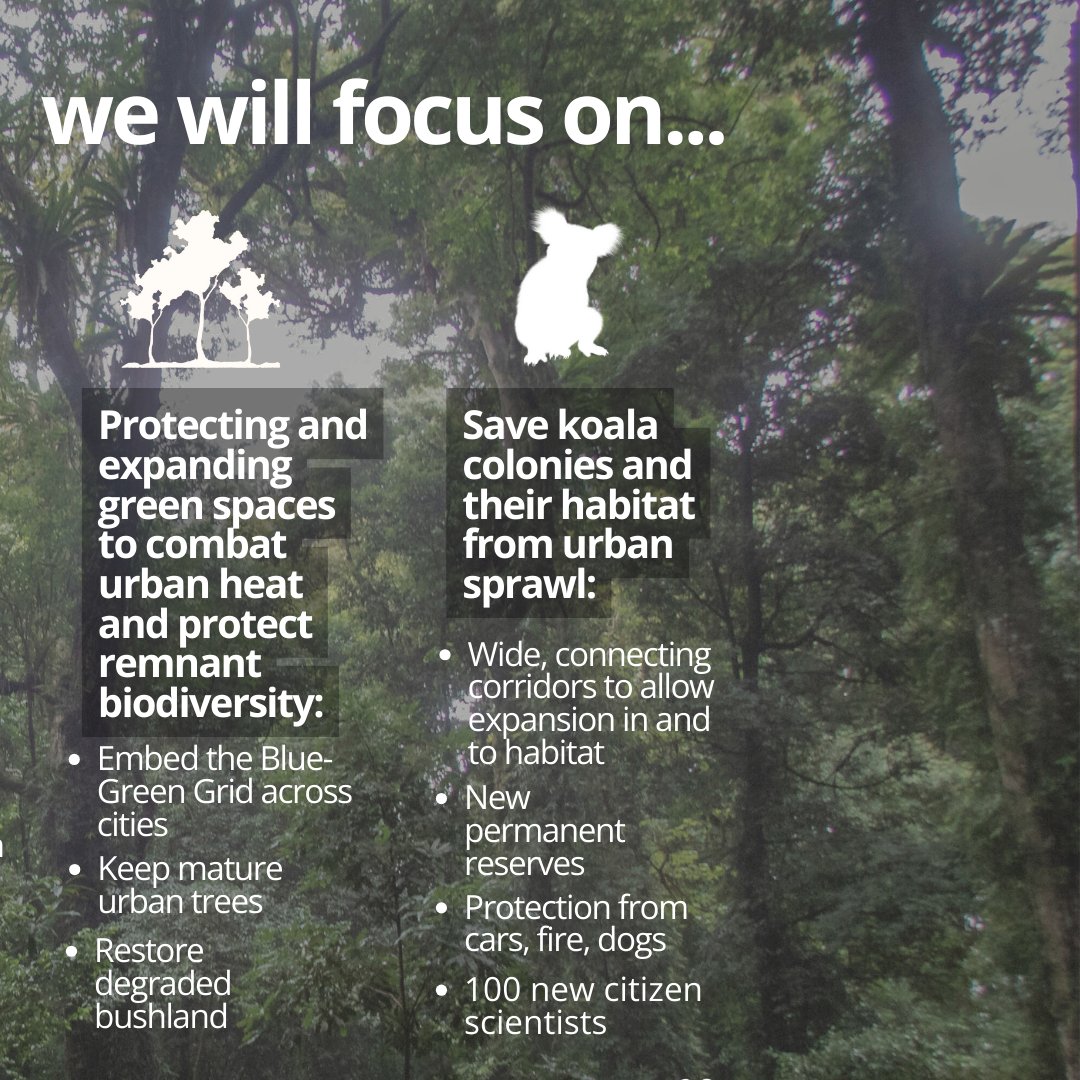 🌿 Looking Ahead: TEC’s Vision for the Next 5 Years 🌏

With leadership, trust, and perseverance at our core, we’re determined to amplify nature’s voice and deliver real solutions for a greener, more resilient future. 
Learn more about our plans: tec.org.au/impact_report_…