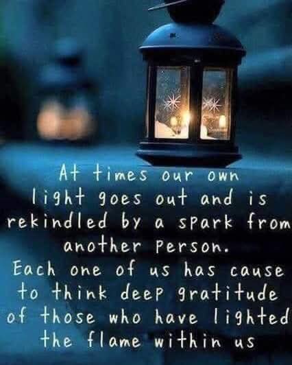 Alyson Meadowcroft, in memory of Macey, RIP 🌈. tweet media