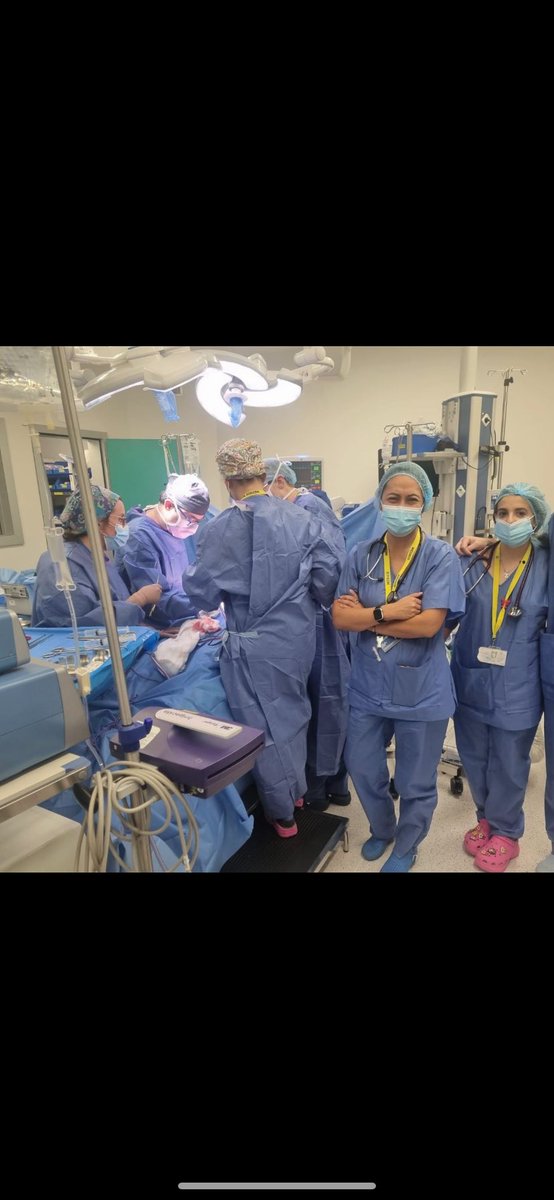 Por fin llego el tan ansiado trasplante número 100 al CAUSA.Un número que refleja el esfuerzo de todo un centro hospitalario. Un año lleno de esfuerzo, con luces y sombras…pero con un trabajo incansable detrás por parte de todos. Gracias a los donantes! #SomosCAUSA