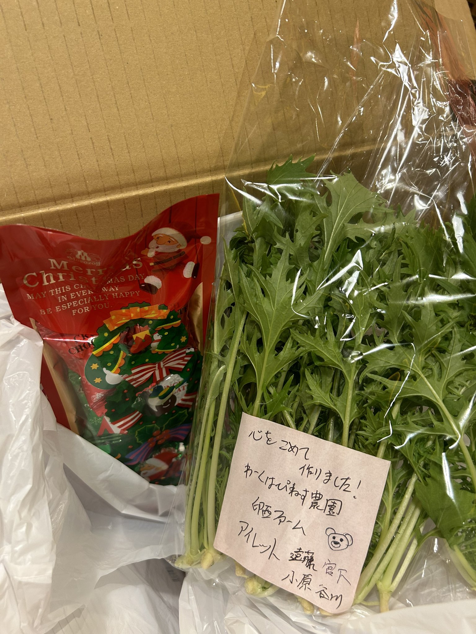 さつきオーダー オーガニックコットンプルオーバースウェット│潮田あかりコラボ