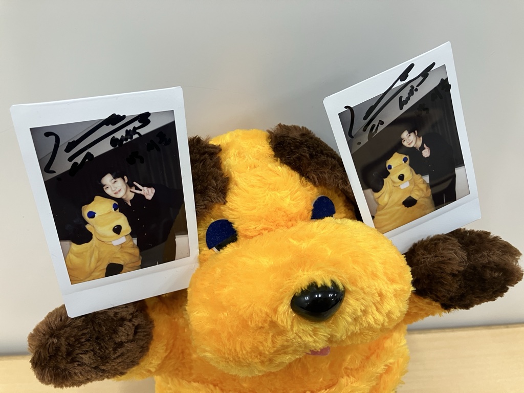 カンテレ tweet media