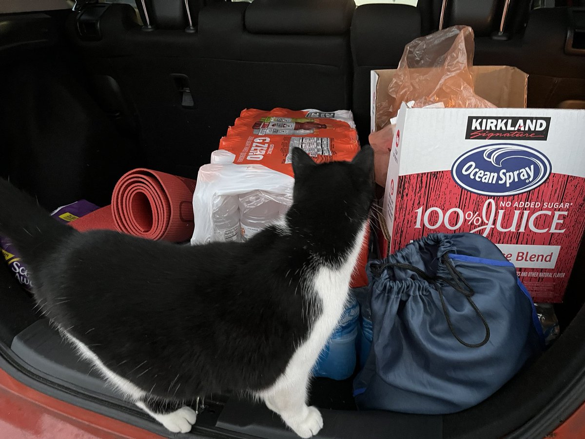 George P. tweet media