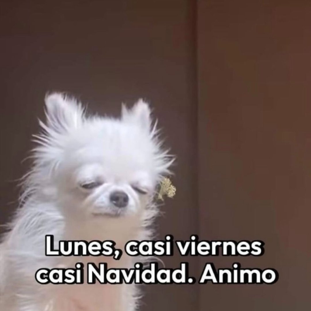 En Júpiter (@en_jupiter_) on Twitter photo 