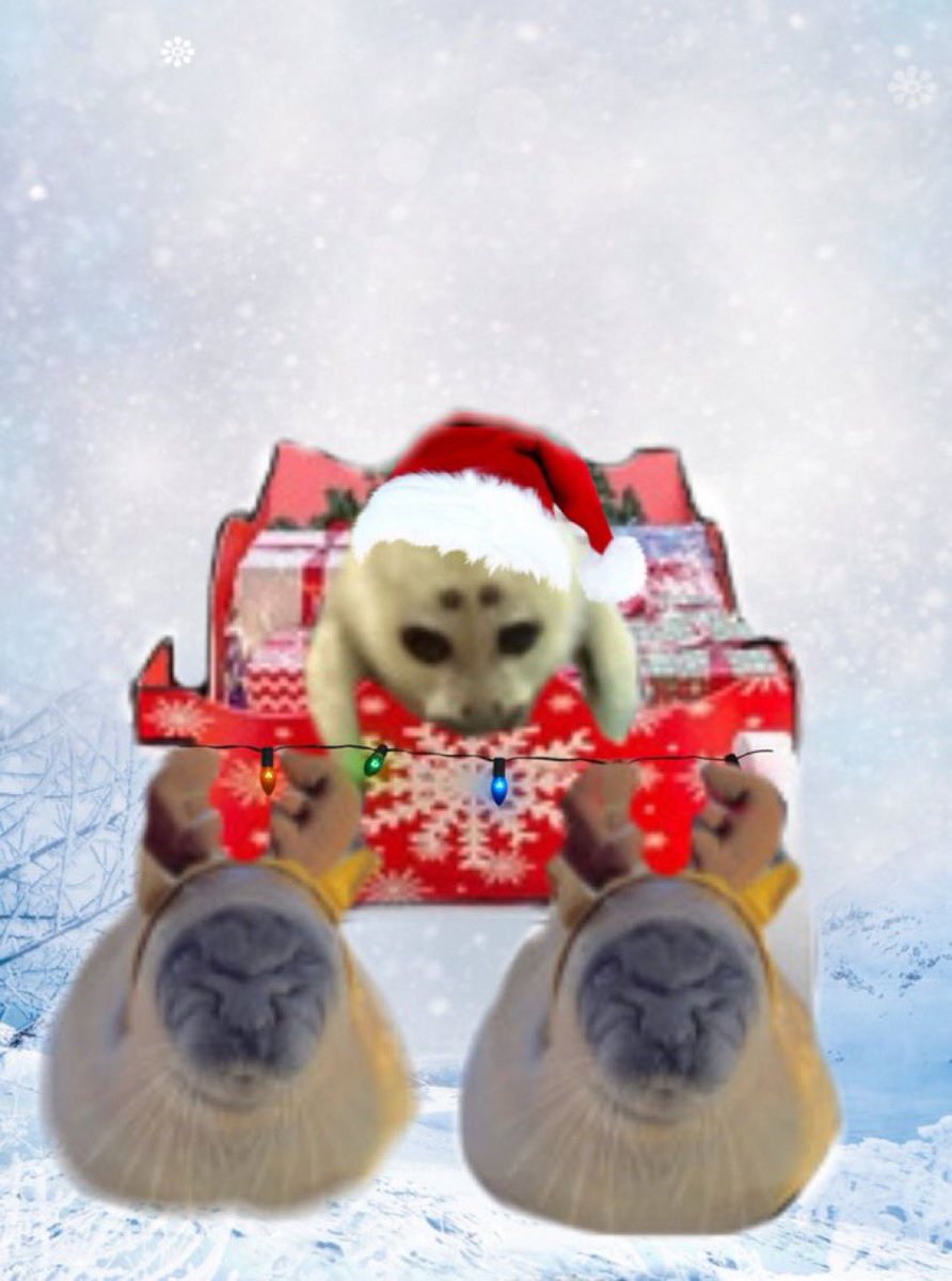 IM SO JOLLY RN