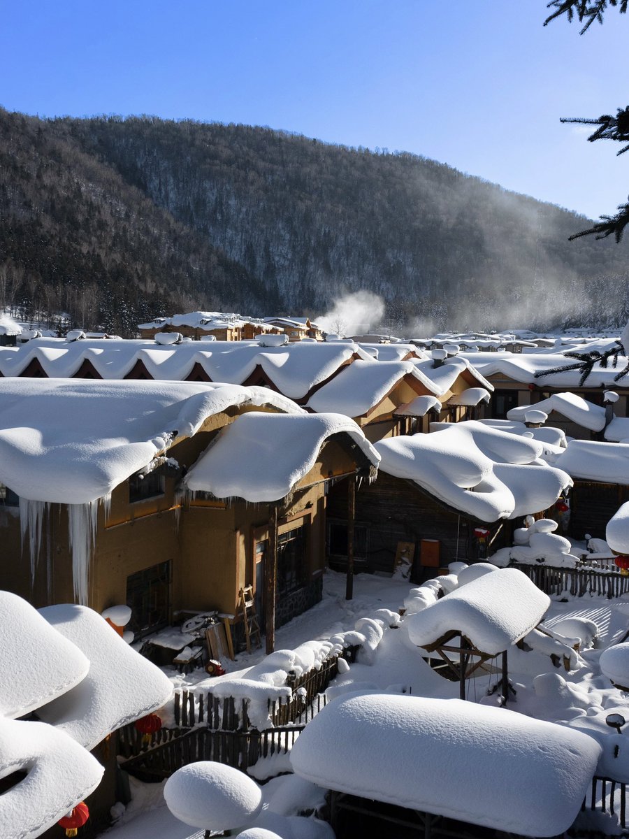 เดี๋ยวมารีวิวไปเที่ยวฮาร์บินต่อด้วยเซี่ยงไฮ้ด้วยตัวเอง จากการที่หาดูข้อมูล ดูรีวิวเอง 100%