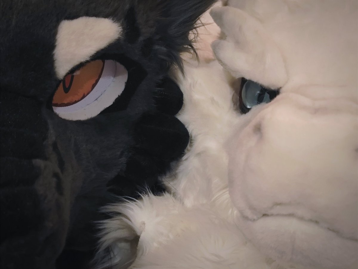 black and white
⚫🐉：<a href="/Alkaid_42/">刚铎的白树</a>

#WFF2024 #WFF