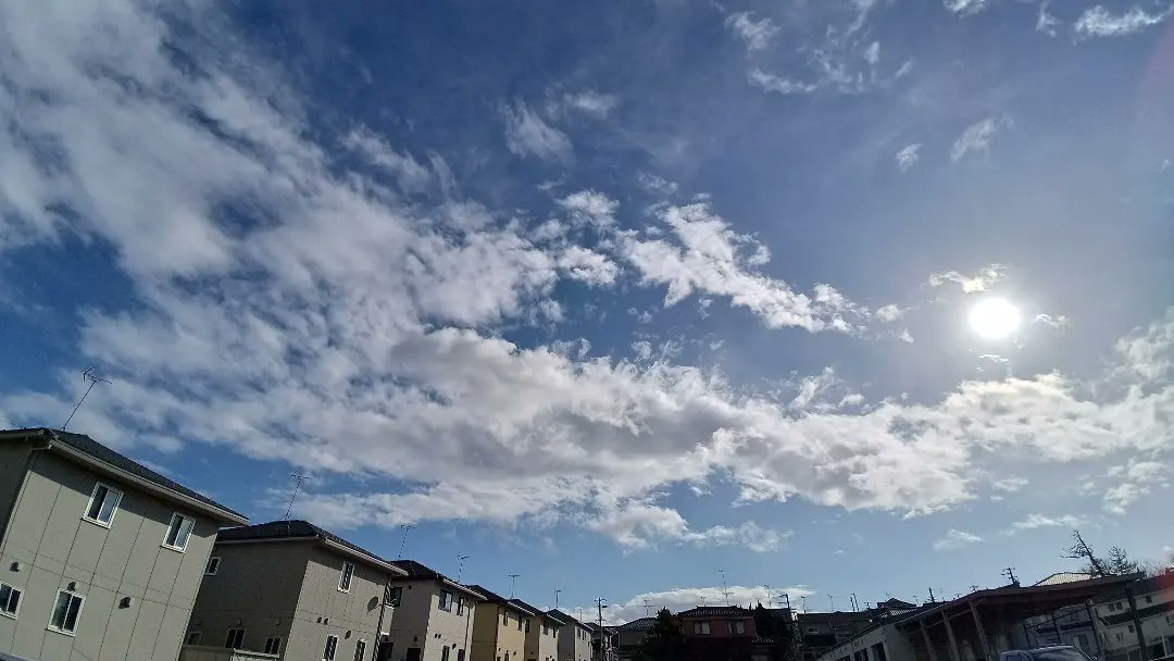 p8GH7DEh6G60245's tweet image. ☃️雪がﾁﾗﾎﾗ❄

🌀クリスマス寒波襲来💨
最低気温0.3℃ 今季最低ﾀｲ

🌹降雪で園芸作業はおやすみ💤
今季最後のバラ✨✨
#ThePilgrim ER.1987
#Christiana 🇩🇪コルデス社 2014

12月23日🌨️3.0℃💧82%🌀7.0m/s

#パパのGarden日誌