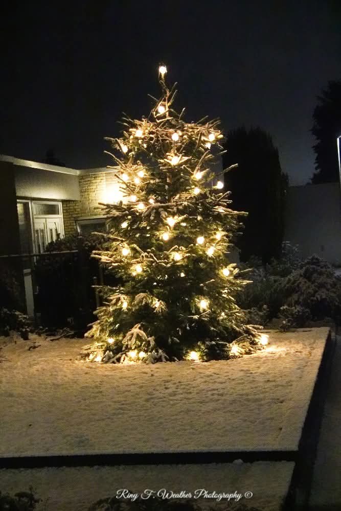 🌨️ let it snow! En dat gebeurde afgelopen nacht in Kerkrade, Limburg. Een echte kerstsfeer krijg je hier van. Ook in de Hoge Venen en in de Ardennen is er  sneeuw gevallen

Foto's van Martin Friedl

#sneeuw