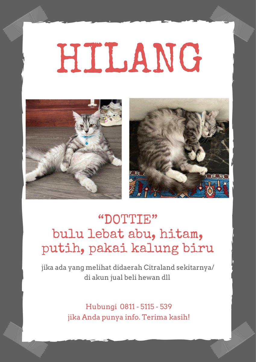 dapinkenyang tweet media
