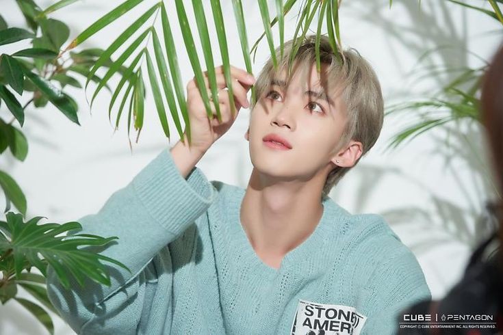 yanan_de_ayi's tweet photo. Which to me feels like:
Candy Party ๐ฌ
#Love_Or_Take ๐ฌ
Home notes ๐งถ
PTG 2022 Seasons Greetings ๐งถ
Mysterious rainforest ๐ด
#We:Th ๐ด
Literary castle ๐ฐ
#Invite_U ๐ฐ
#์์ #YANAN #้ซๆก https://t.co/YvQS3IC3hu