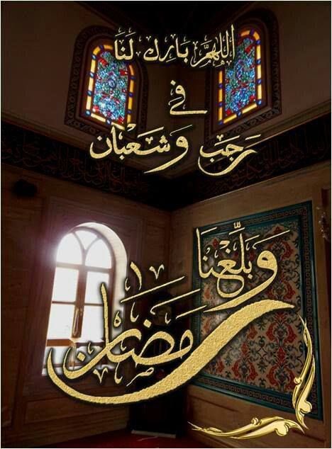 #ياصباح_الاجواء_الحلوه 
#اقترب_شهر_رجب
#صباح_الخير_والسعاده_للجميع 🌹🍃
اللهم آمين آمين يا رب العالمين 🤲💚❤️👇🏻🤎🧡