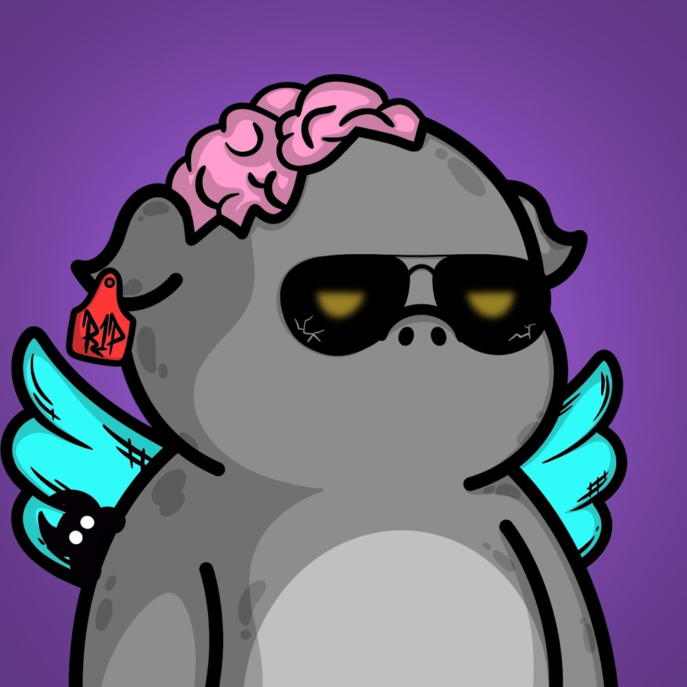 Dinesh Raj tweet media