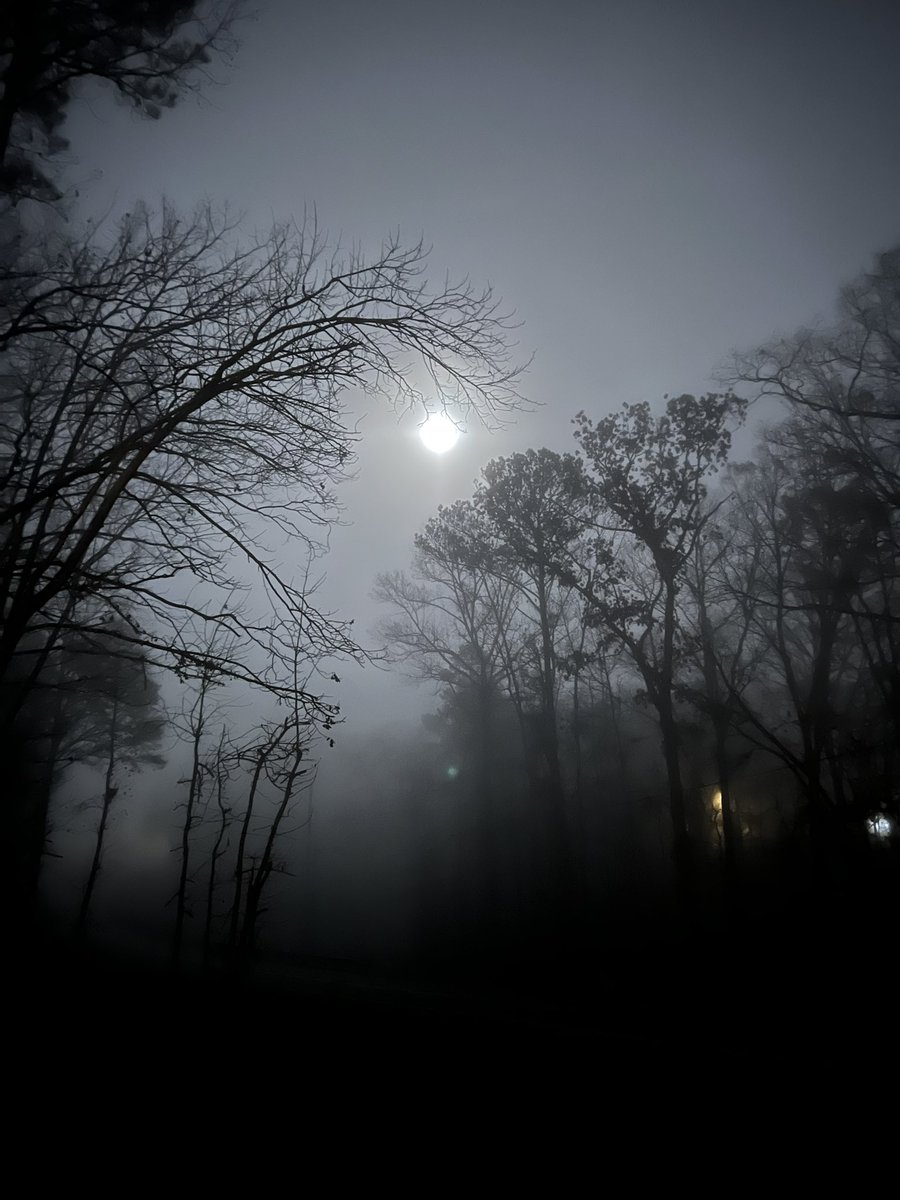 Colten Gauthier tweet media